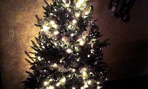 A Very Mid-Century Modern Christmas!