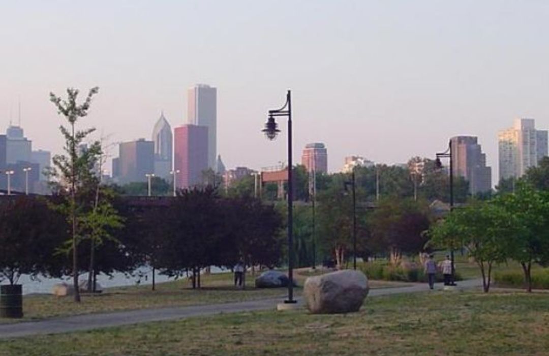 Homes for Sale in Armour Square, Chicago