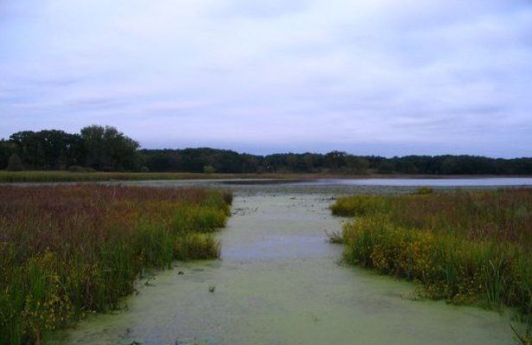 Homes for Sale in Holiday Hills