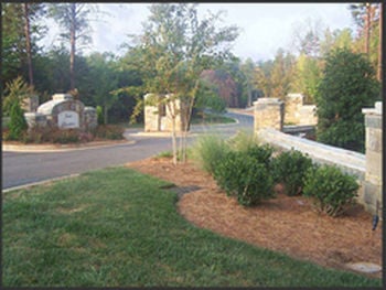 241_james-plantation-4