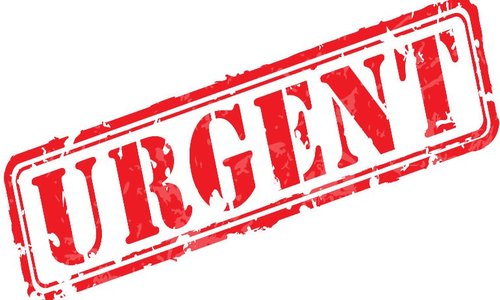 Develop A Sense Of Urgency To Everything You …