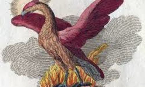 Phoenix Rising - Latest Cash Shiller Report Shows …
