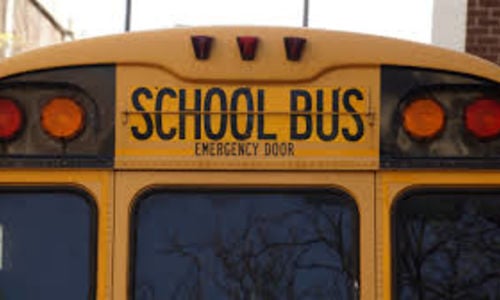 The Importance of Schools - The Real Value