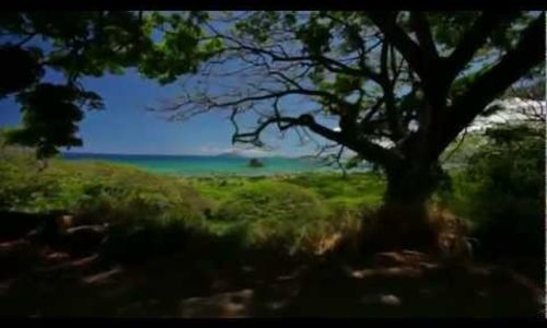 Kamehameha Schools Evict Monsanto from Hawaii