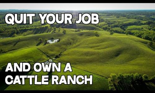 VIDEO – Quit your Job and own a Cattle Ranch - 209 acre Cattle Farm in Kentuck&hellip;