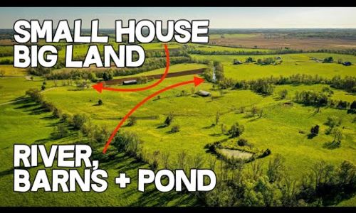 Small House Big Land 84 acres, cattle land for sale in Kentucky