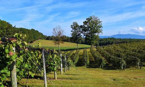 Spend a weekend in the North Georgia Mountains...