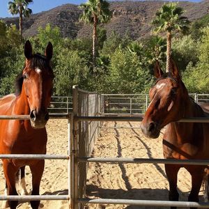 Bell Canyon Gallery Img 14