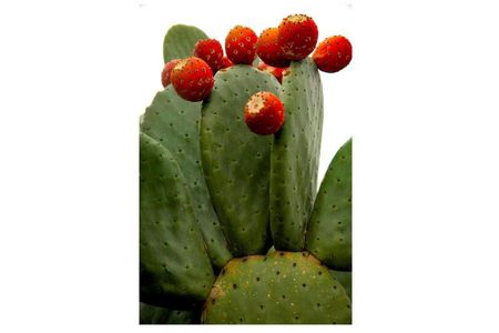 Bell Canyon Gallery Img 21