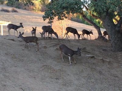 Bell Canyon Gallery Img 26