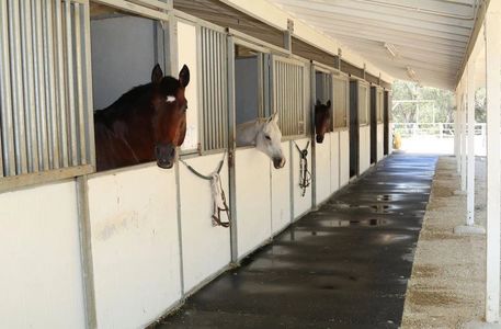 Bell Canyon Gallery Img 32