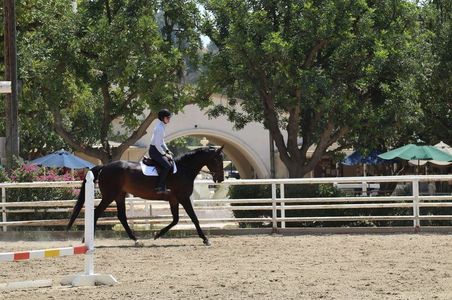 Bell Canyon Gallery Img 33