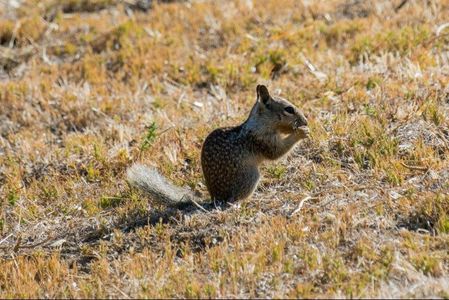 Bell Canyon Gallery Img 9