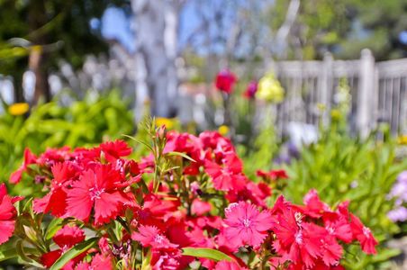 Bell Canyon Homes Gallery Img 14