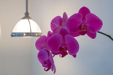 Bell Canyon Homes Gallery Img 32