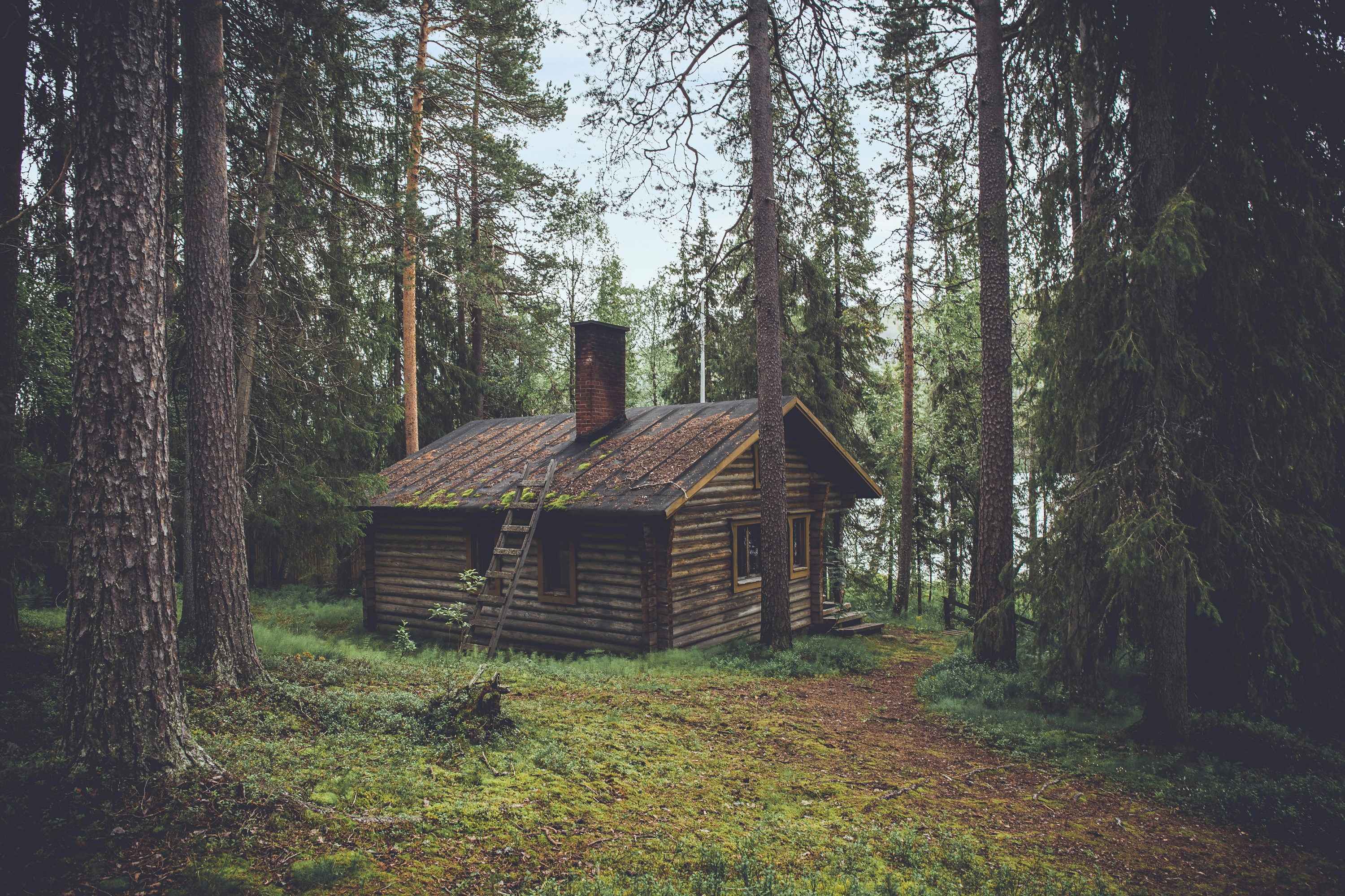 traditional log cabin on the blue ridge parkway near boone nc