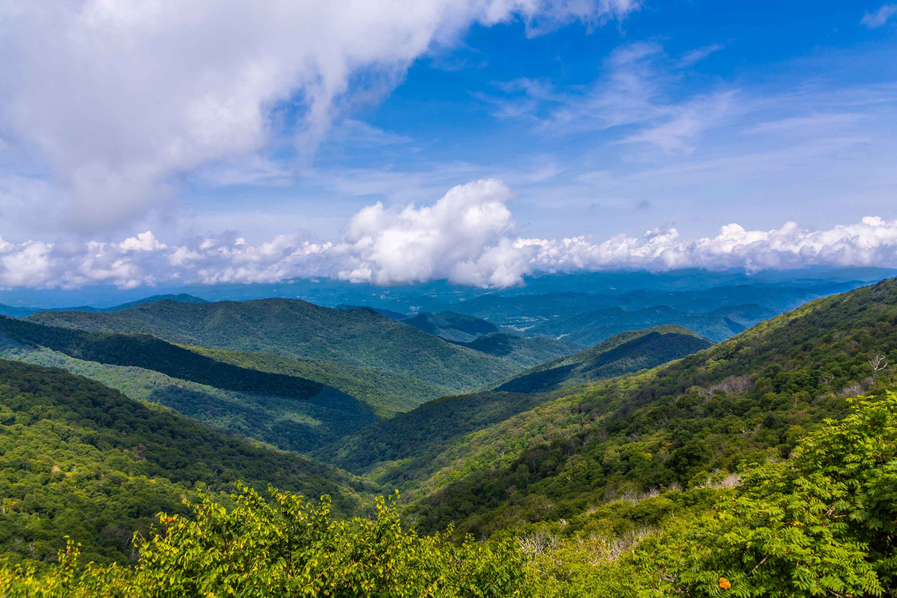 View Through the Blue Ridge Mountains