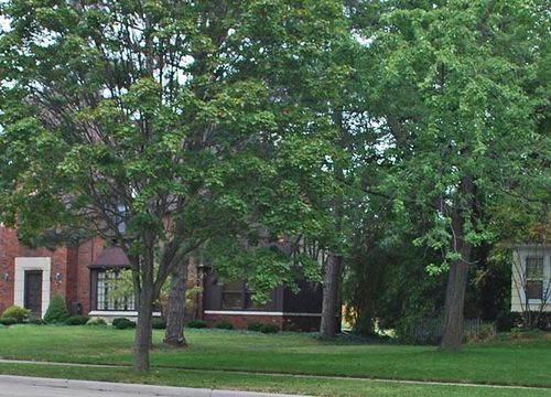 The image shows a residential street with houses and trees