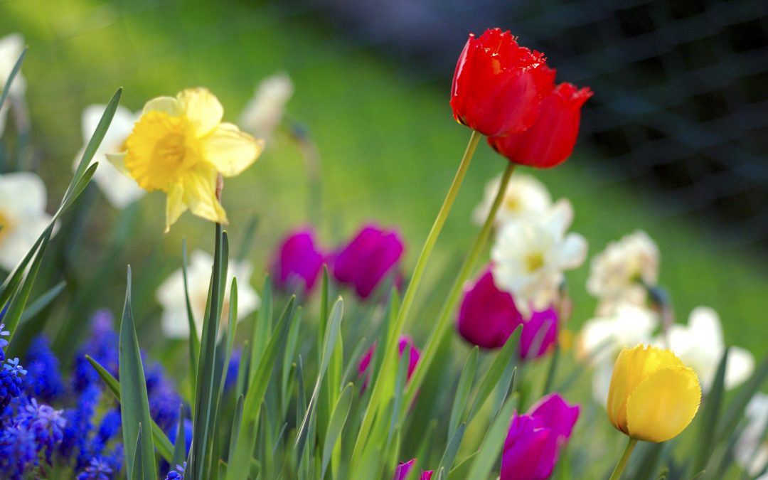 Farmington Hills Spring Real Estate Market