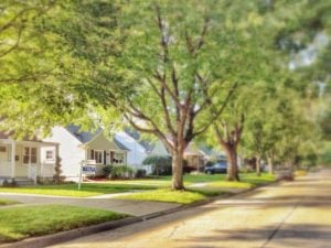 Neighborhood Feature Buyers Want In Oakland County Tree lined Street