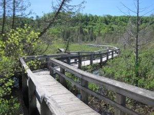 West Bloomfield Preserve Trail