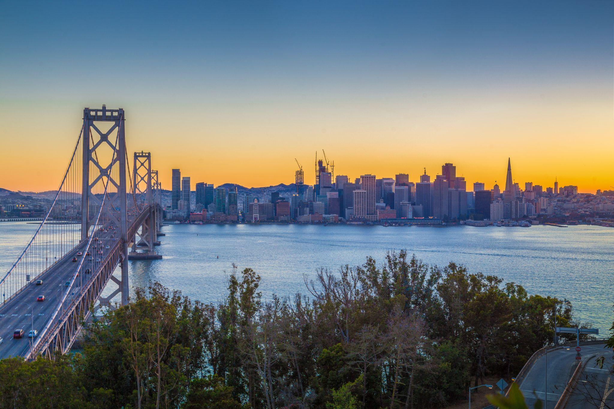 view of trees in the foreground and the bay in between the bridge and the city skyline