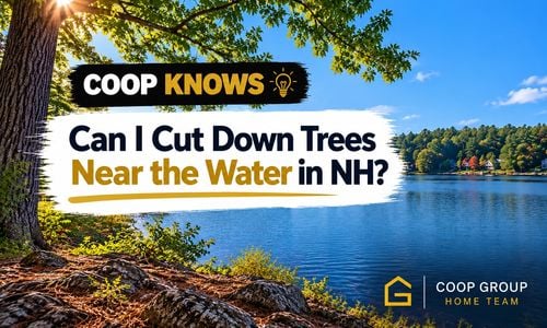 Can I Cut Down Trees Near the Water in New &hellip;