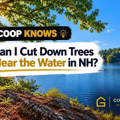 Can I Cut Down Trees Near the Water in New Hampshire?