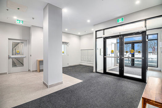 018_393_codds_road-11_711