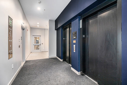 019_393_codds_road-12_164