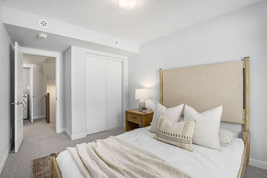 033_919_mishi_priva_2_645