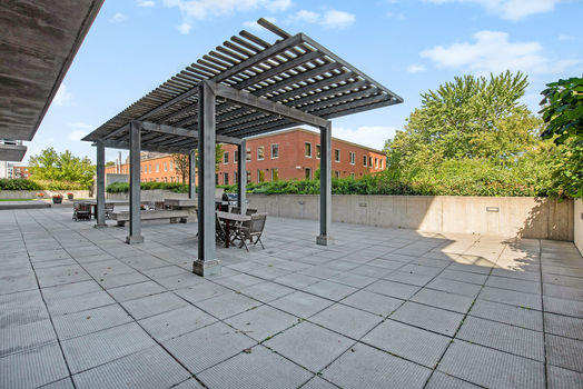 Photo by: Will Copico Photography (www.willcopico.com)