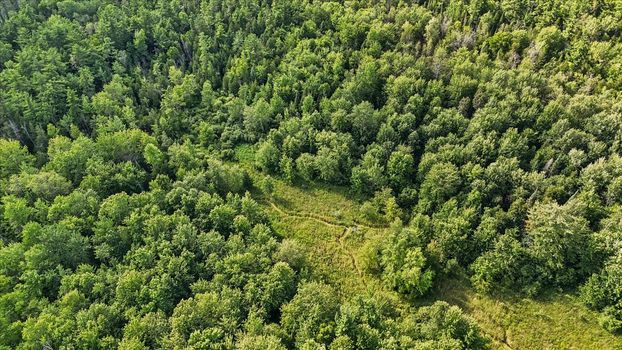 11-DJI_20250708171043_0236_D