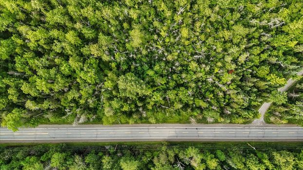 14-DJI_20250708171158_0251_D