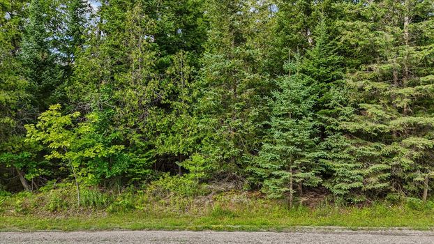 16-DJI_20250708171449_0265_D