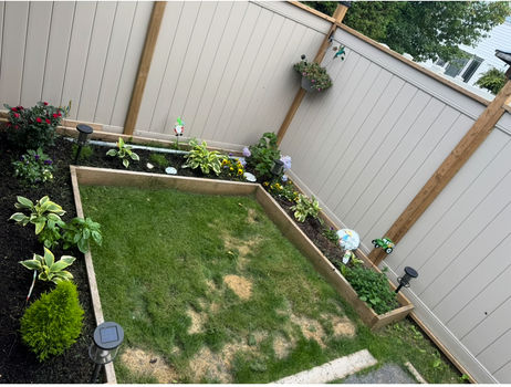 Summer pic 1 IMG_2110