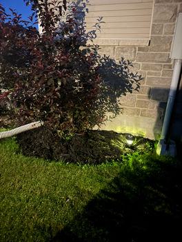 Summer pic 2 IMG_2113