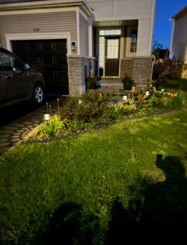 Summer pic 3 IMG_2217