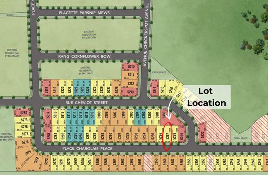 1091 Charolais (1)-min (1)