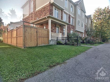 backyard_6