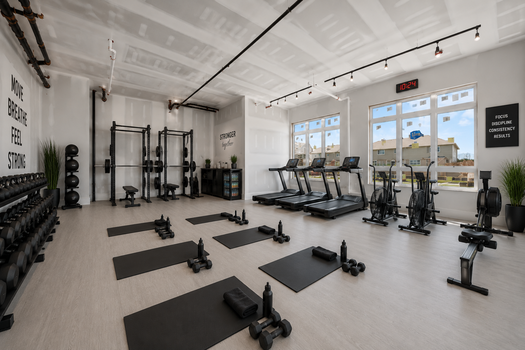 Gym Staged 1 (1)
