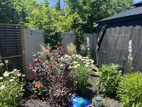 Pic5