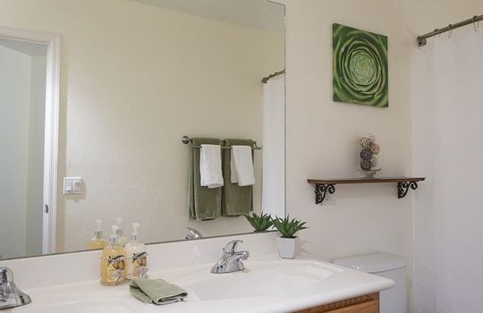 7366 W Silver Sand Drive &#8211; Guest Bathroom