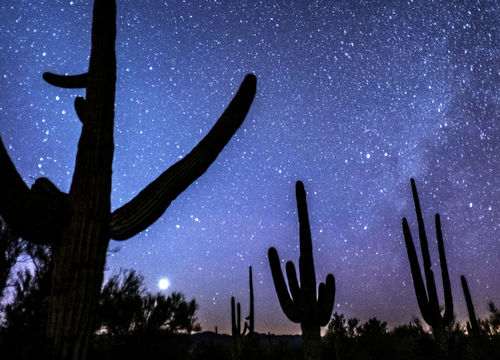 Hilay & Jay -Catalina Area Image a1