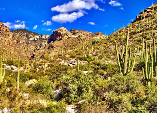 Hilay & Jay – Catalina Foothills Area Image a1