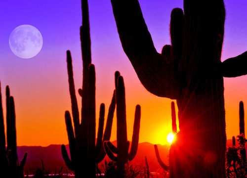 Hilay & Jay – Marana Area Image a1