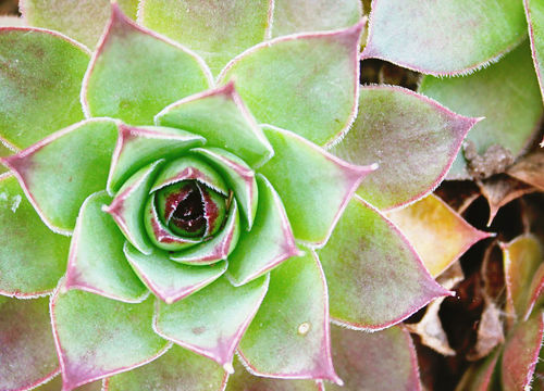 Hilay & Jay – SaddleBrooke Area Image a1