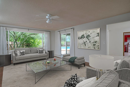 Living Room Shot 2