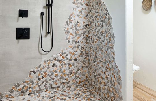 Primary Shower