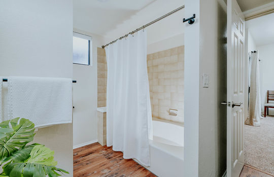 Primary Bath Shot 2